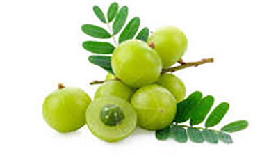 Amla