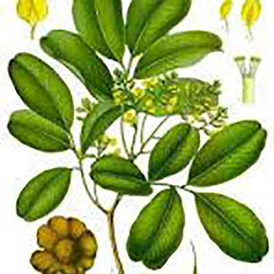 Salicylic